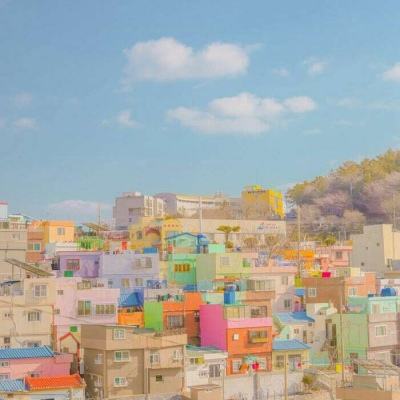 三张牌下载金花免费app下载